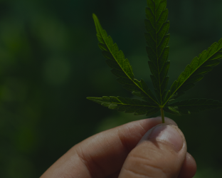 Lorem ipsumdolor sit amet