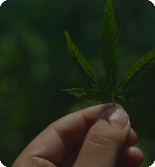 Lorem ipsumdolor sit amet